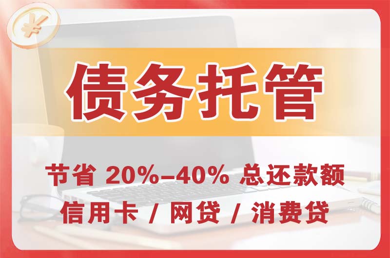 金湖债务托管