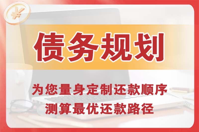 金湖债务规划